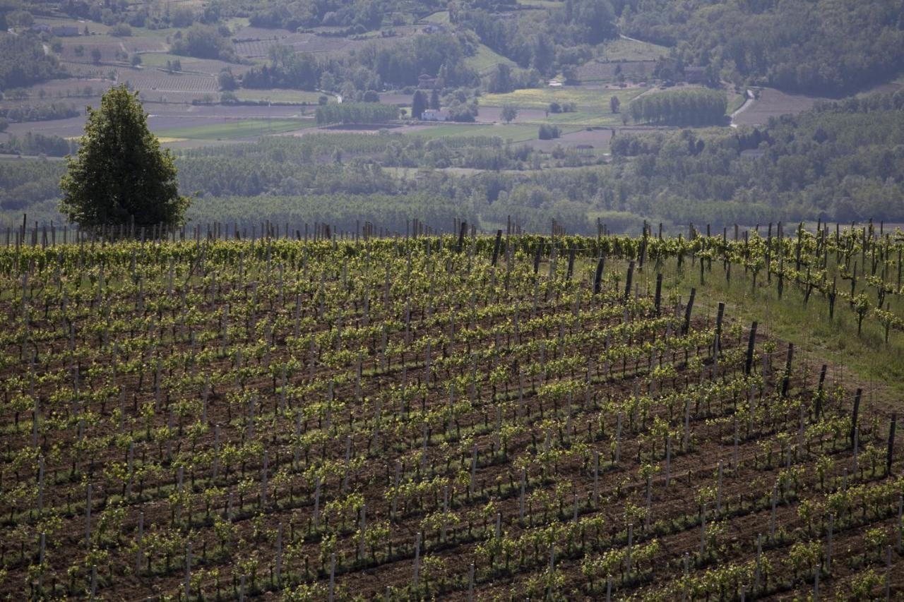 Cascina Marcantonio أكوي تيرمي المظهر الخارجي الصورة